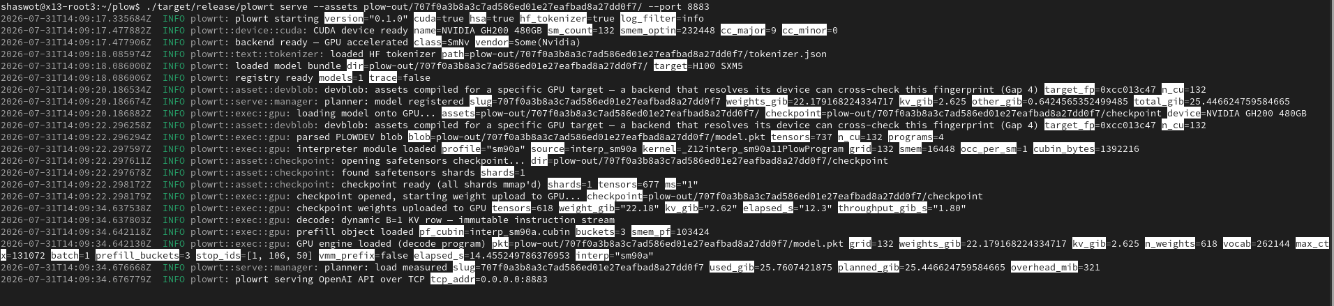 Terminal log of plowrt serve on GH200 for Gemma 12B